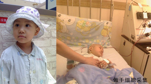 ����ϸ���ɼ�����Ƭ