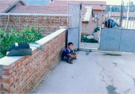 ����������Ƭ