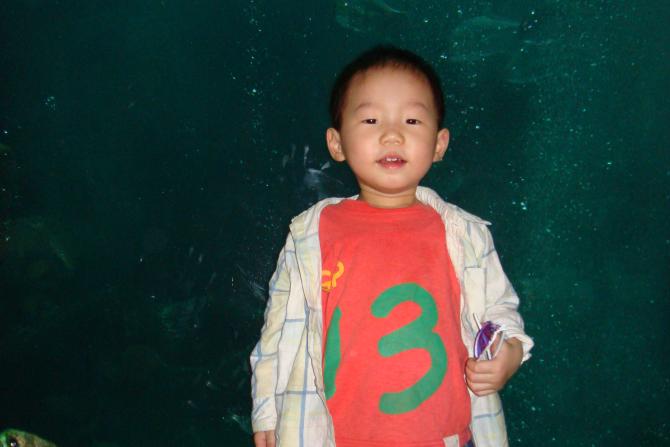 ��������ǰ�Ĳ��ģ��ܿɰ�