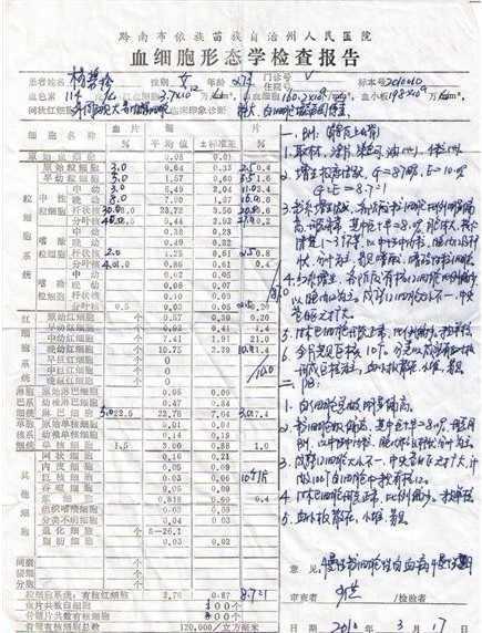 �������ű����ļ�鱨�棬��������һ���˵��Ҹ����Ҳ�����������ʿ�İ��ģ�