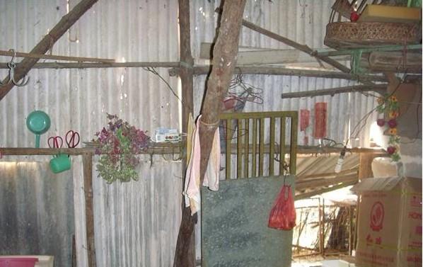 ����ǻƿ�֥�����ƾɵļң����Ͻ������ϵ��硣