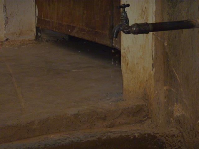 ������Сѧˮ��һ���Ѷ�ˮ