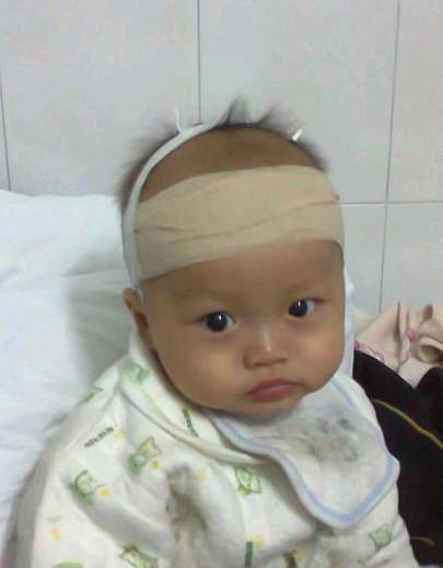 ������Ѫ��С��������ö���