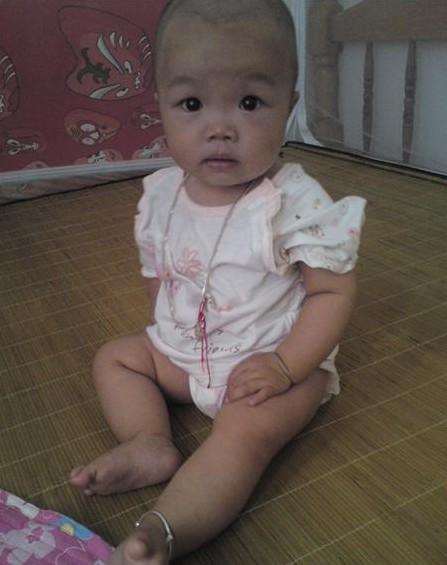 �ɰ����ɵ�С����