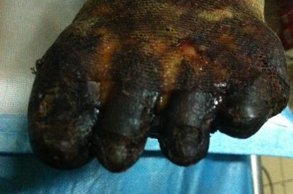 ���ս��Ľ�ģ�����壬���������ֺ�������䣬�����������ܵ�ʹ