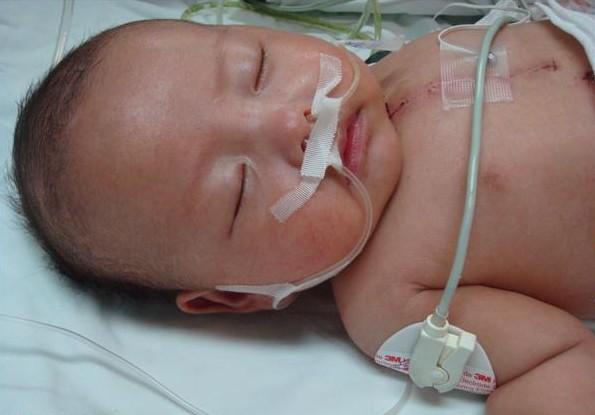 ��Ϊ�г���С�����ܽ�ʳ��ֻ�ܿ���Ӫ������ά������