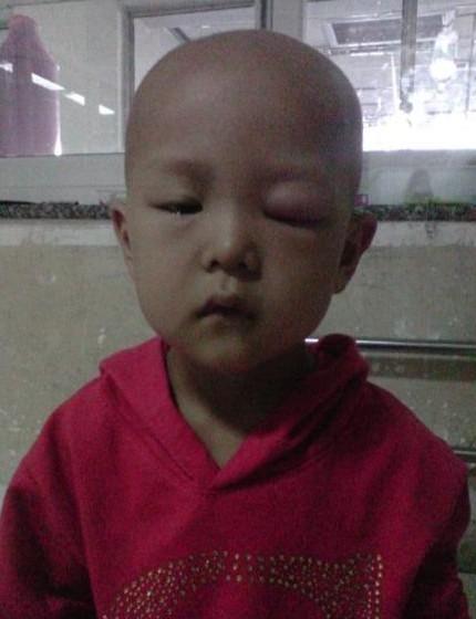 С��ΰ�����λ����ڼ䣬�۲���Ⱦ�ˣ�����������