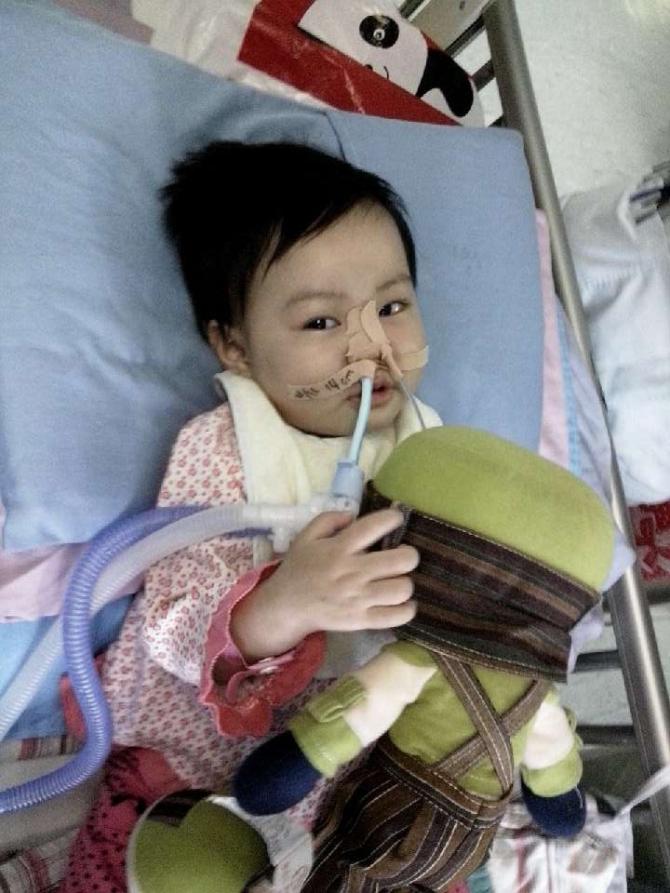 ���������͵���������ë�����