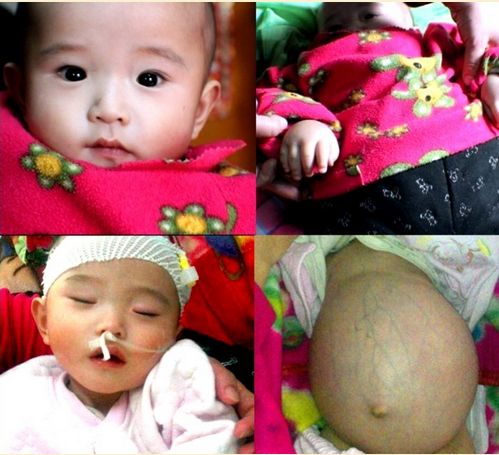 ������Ƭ