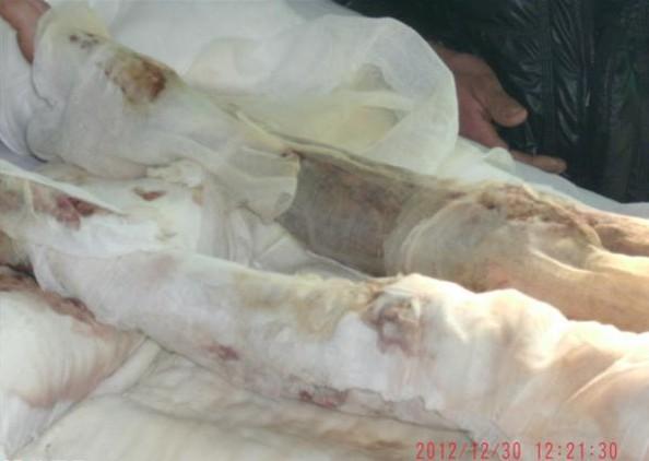 ����Ƿ�ѣ�û�а취�ڼ��вɼ��ĺ���С������Ƭ�����Ӻ�����