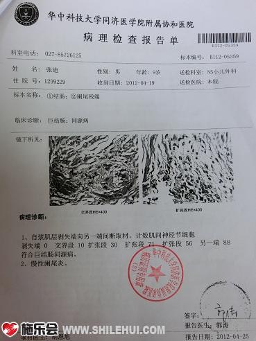 �ŵϵļ�鱨��