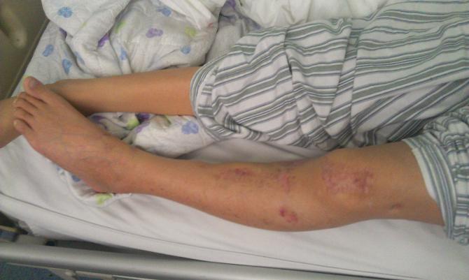 �����������