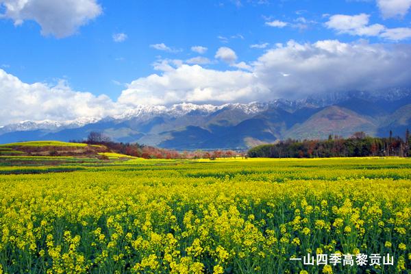 һɽ�ļ����蹱ɽ������ɭ �㣩