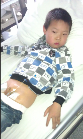 ������Ѫ������־