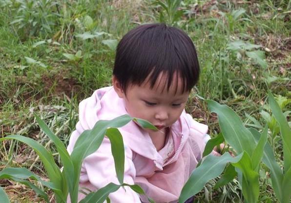 ���Ÿ�����Ҫ���ԱߵĲݰε������ײŻ᳤�ø��ã����ٲ������׳�ร�С�һﻹ������Űβ��ˣ�