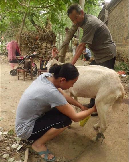 ����ι��һֻ�����ܳ���Ψһ��Ӫ��Ʒ