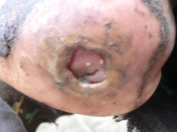 ����������õ���Ƭ