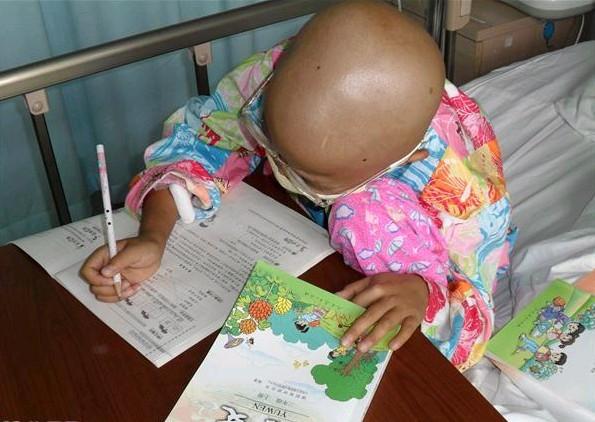 �����Żص�У԰�ĺ��ӣ�һ�����������