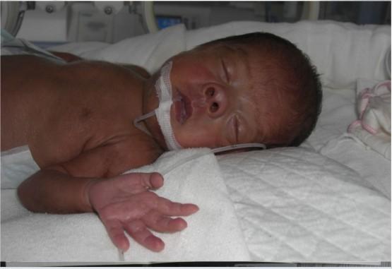 ���˫��̥֮��