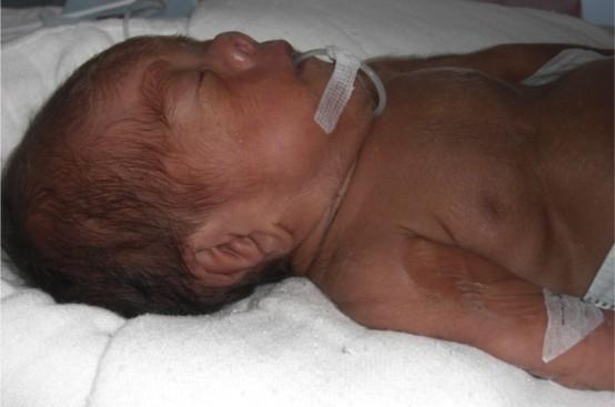 ���˫��̥֮����