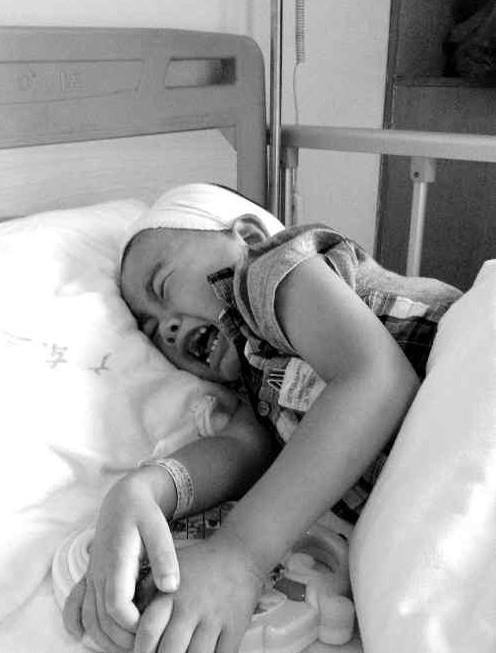 ������Ƭ