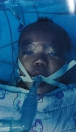 ����������