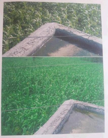 ������ɽ�ݶ���ʱ��������ѹ�߸������ˣ�ϣ����Ұ����������ĺ��ӣ���ָ�л