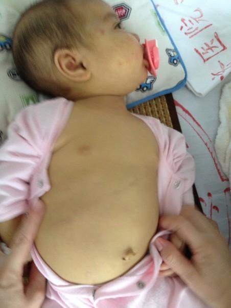 ������Ƭ