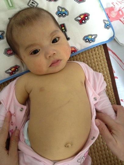 ������Ƭ