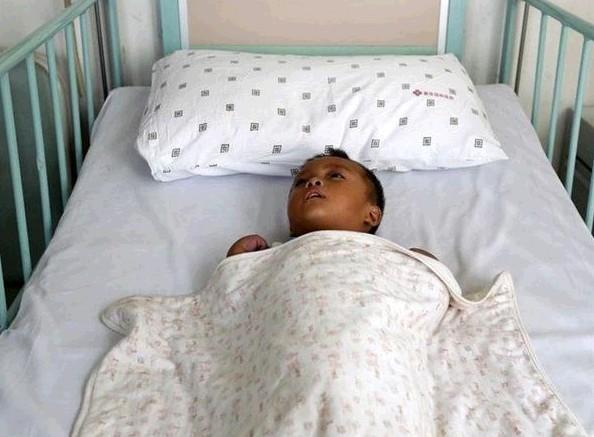 С�������������ڲ����ϣ��������С����������¶�����Ŀ������˶��ݡ�