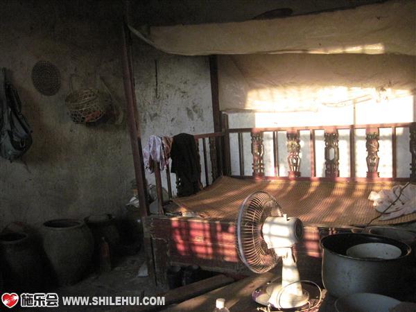 ��ĸ�������