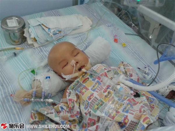 ȫ���������ӵ�С��ƣ����˿�����ʹ�����������ɣ�