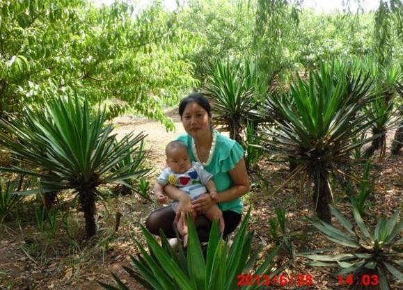 �����Ĺ�԰�����������µĺ�Ӱ����֪��ʲôʱ�����ٻ���  