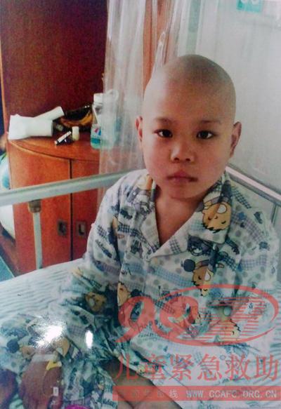 ������Ƭ