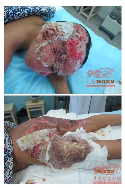 ������Ƭ