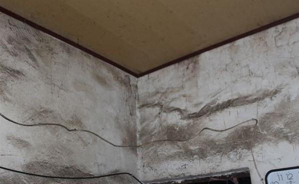 ʩɭ�ּҵ�ǽ���ϵ������Ǳ���ˮ�ܹ��ĺۼ�