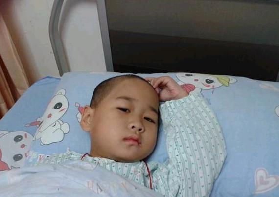 ����������������֪���Լ������ز����������տ�����