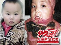 ������Ƭ