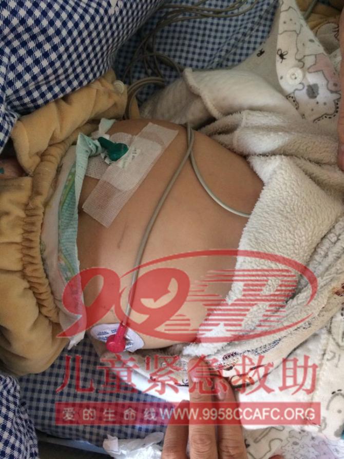 ������Ƭ