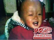 ������Ƭ