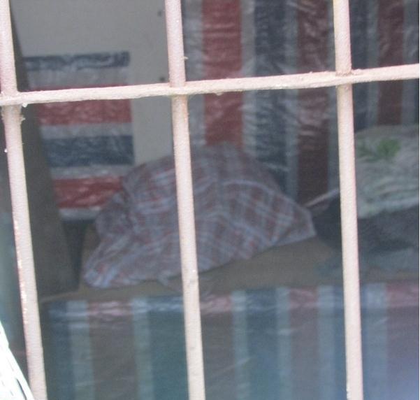 �����С������Ҳû��ʲô�Ҿߣ�ֻ��һ�Ŵ��ͱ���