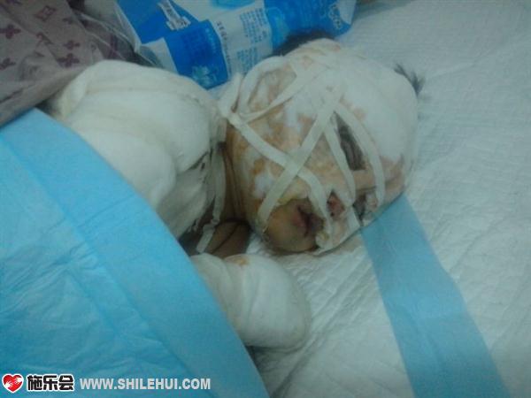 �ź������֮��