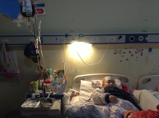 �����Ѿ����ͳɹ��ڽ�������