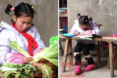 ������Ƭ