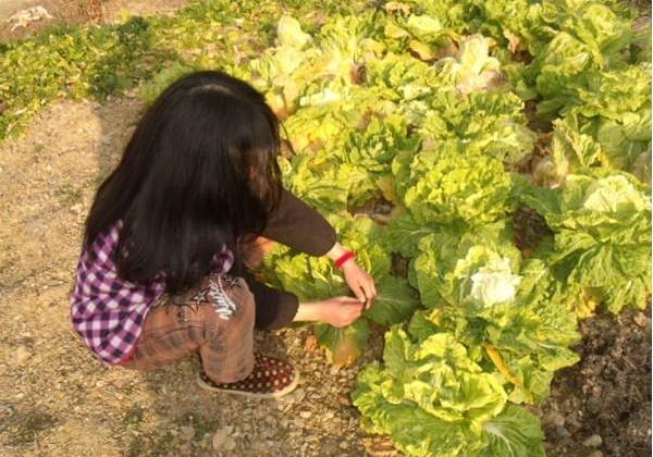 �����ڼҾ�����æ�ɼ���