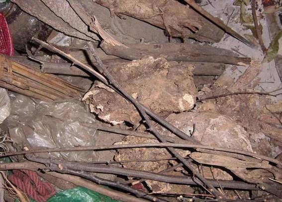 ��ס������������ɽ��ʰ����ȡů�Ĳ��