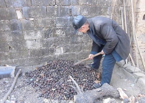 �´�������������ͩ�͸�������Ҳ���ܻ�һ��Ǯ�ɣ�