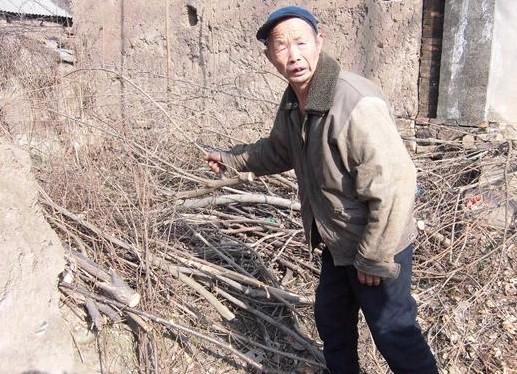 ��Щ��֦�����˴�ɽ��ʰ�������������Ĳ��