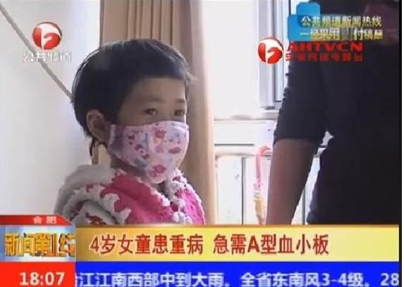 �������̨������800����Ŀ��С�����ı���