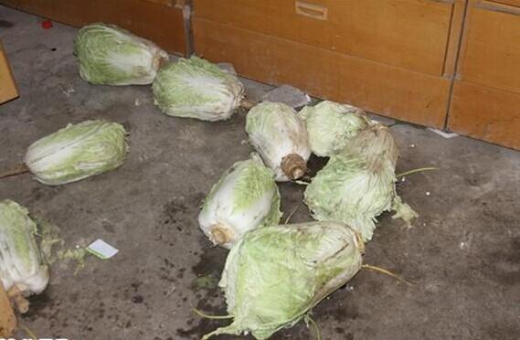 ��Ϊ��ƶ�������˼��ﾭ��ֻ�ܳ��Լ���������߲ˣ��Ա���ټ�ͥ������